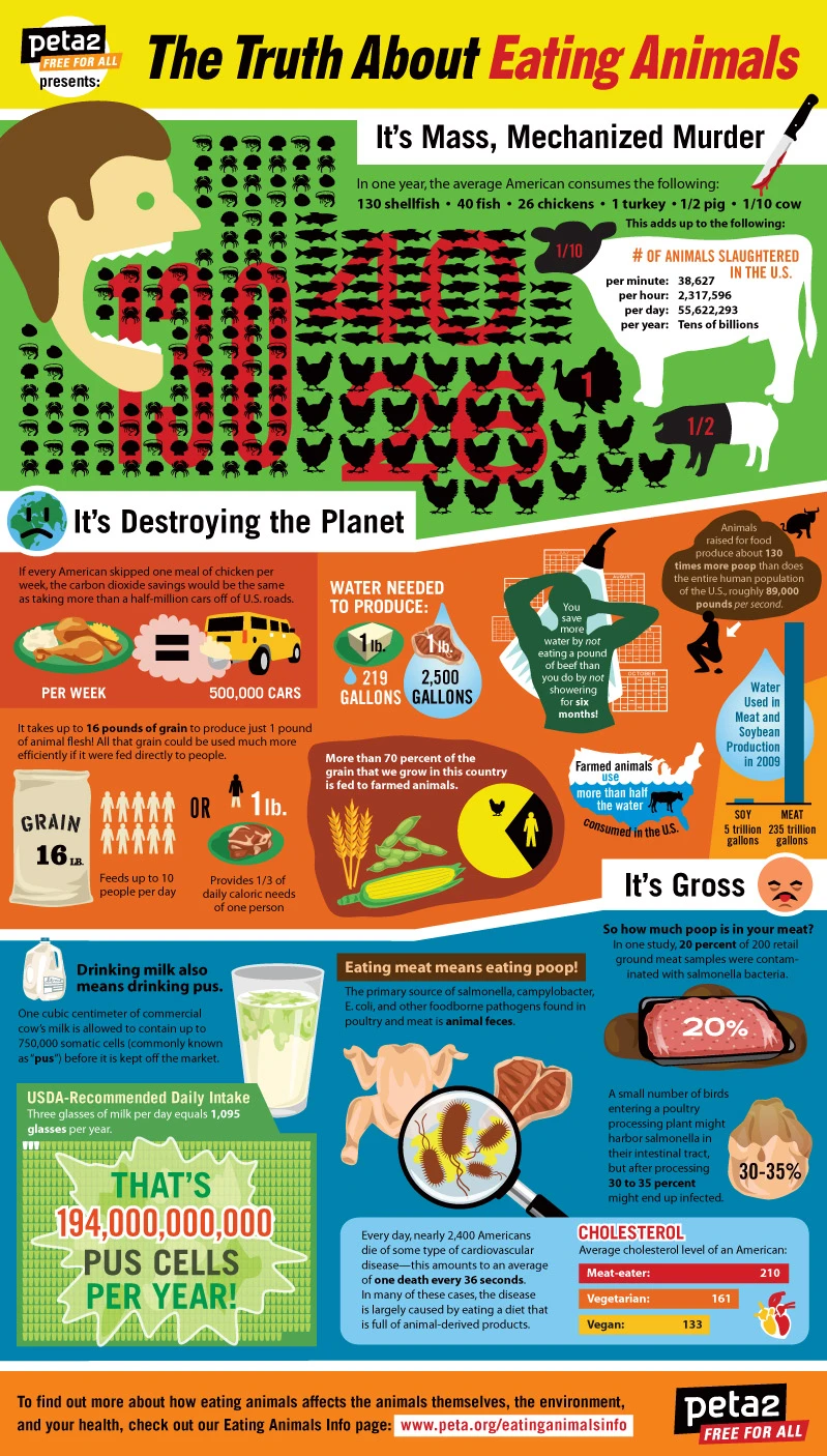 Eating Animals Impacts Health, Environment, And Ethics. Learn The Facts About Meat Consumption, Animal Welfare, And Plant-Based Diets For Better Choices.